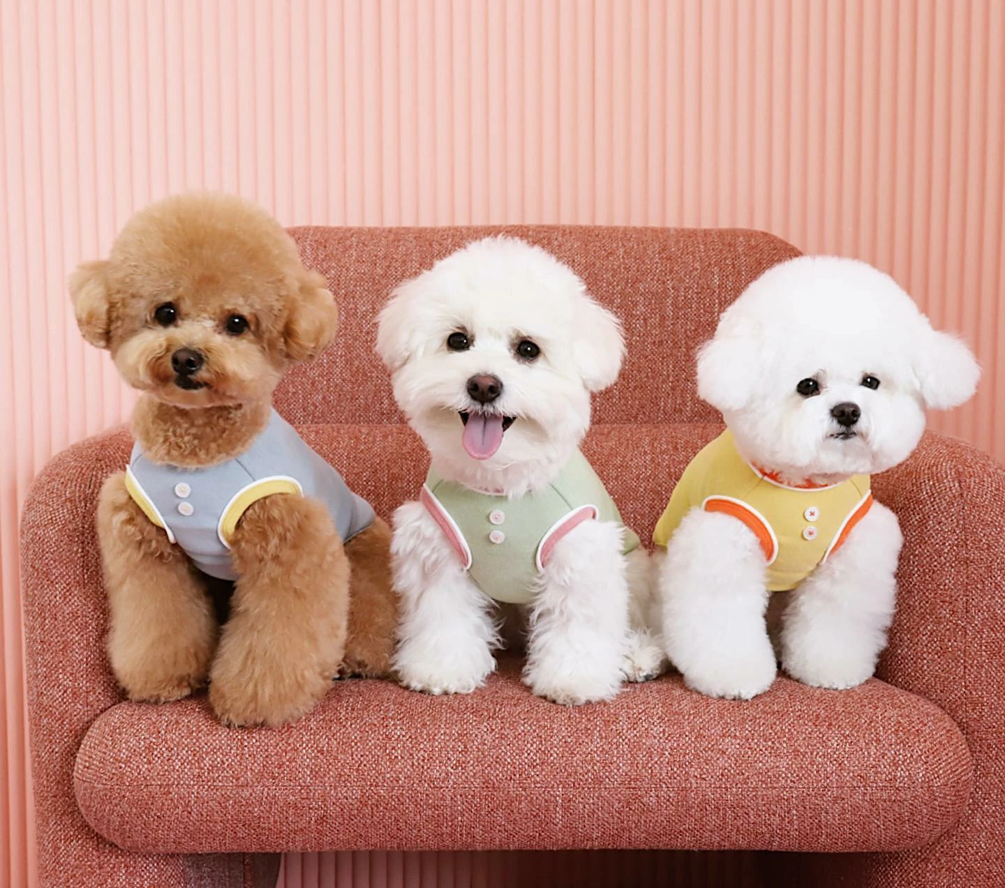 Cheap Sir Dogwood Store -Cheap Sir Dogwood Store 1