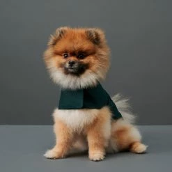 The Barkers Green Bandit Raincoat