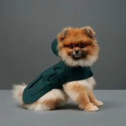 The Barkers Green Bandit Raincoat