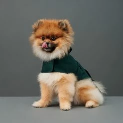 The Barkers Green Bandit Raincoat