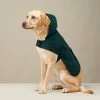 The Barkers Green Bandit Raincoat