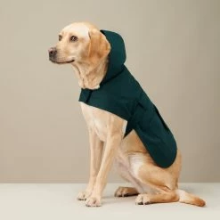 The Barkers Green Bandit Raincoat