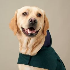 The Barkers Green Bandit Raincoat