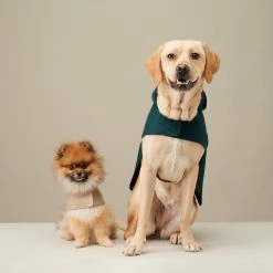 The Barkers Green Bandit Raincoat