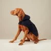The Barkers Navy Bandit Raincoat