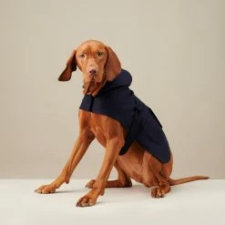 The Barkers Navy Bandit Raincoat