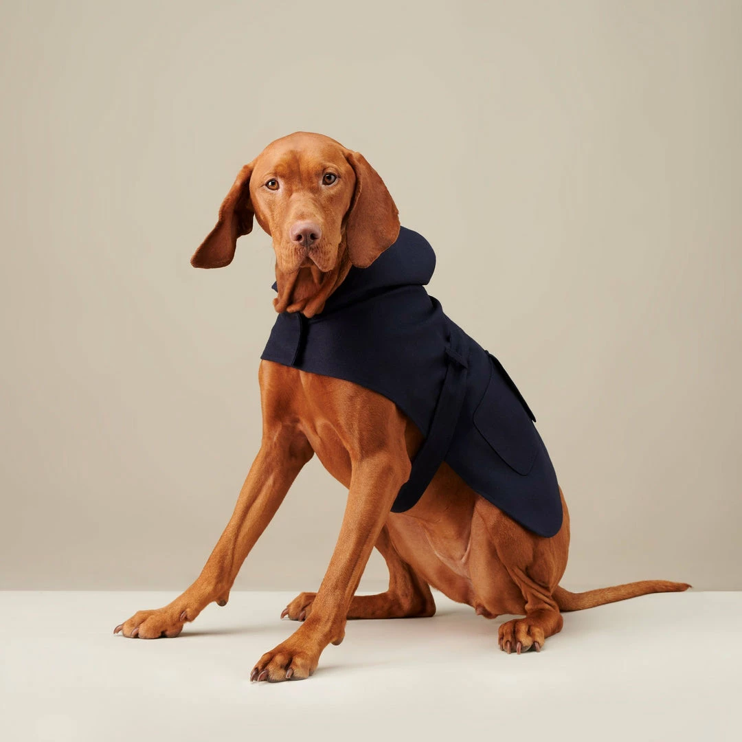 Buy π The Barkers Navy Bandit Raincoat π 4 The Barkers Navy Bandit Raincoat