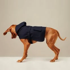 Buy π The Barkers Navy Bandit Raincoat π 14 The Barkers Navy Bandit Raincoat