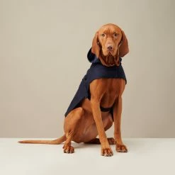 Buy π The Barkers Navy Bandit Raincoat π 15 The Barkers Navy Bandit Raincoat