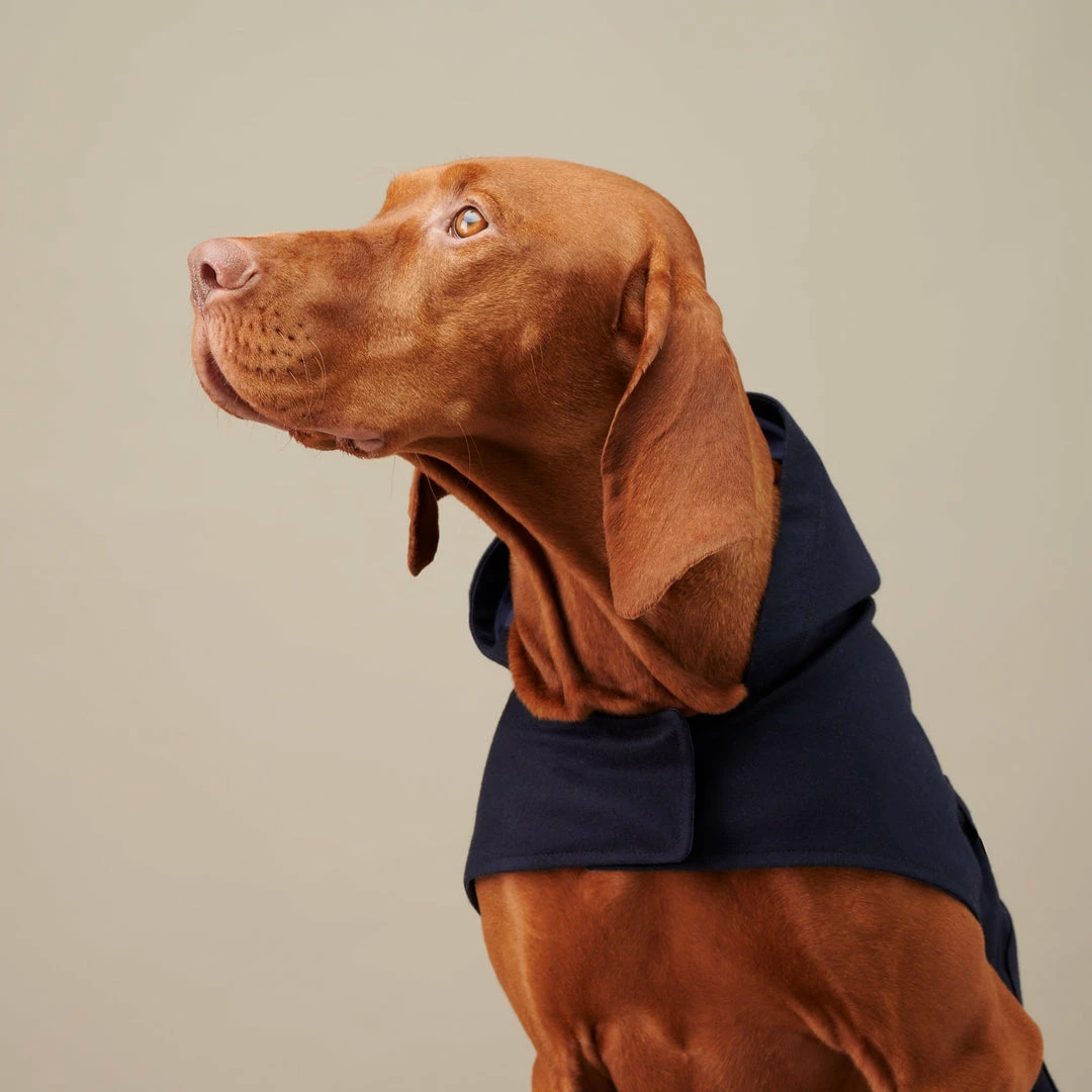 Buy π The Barkers Navy Bandit Raincoat π 5 The Barkers Navy Bandit Raincoat