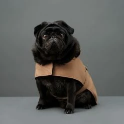 The Barkers Camel Bandit Raincoat Outerwear