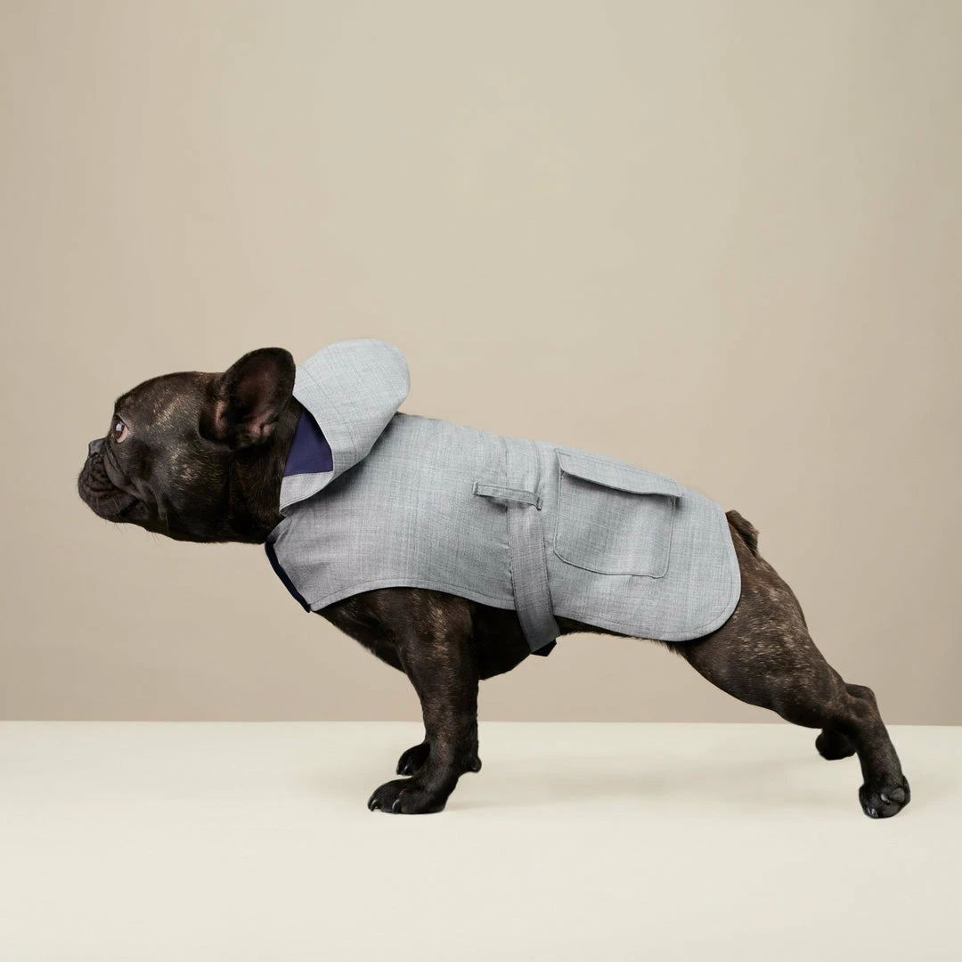 Budget 🌟 The Barkers Light Grey Bandit Raincoat 🎉 3 The Barkers Light Grey Bandit Raincoat
