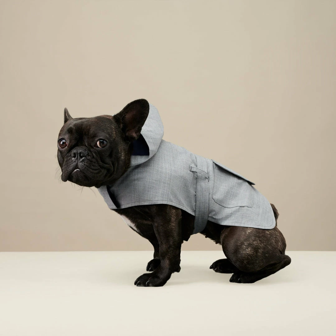 Budget 🌟 The Barkers Light Grey Bandit Raincoat 🎉 4 The Barkers Light Grey Bandit Raincoat