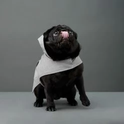 Budget 🌟 The Barkers Light Grey Bandit Raincoat 🎉 12 The Barkers Light Grey Bandit Raincoat