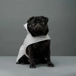 Budget 🌟 The Barkers Light Grey Bandit Raincoat 🎉 13 The Barkers Light Grey Bandit Raincoat