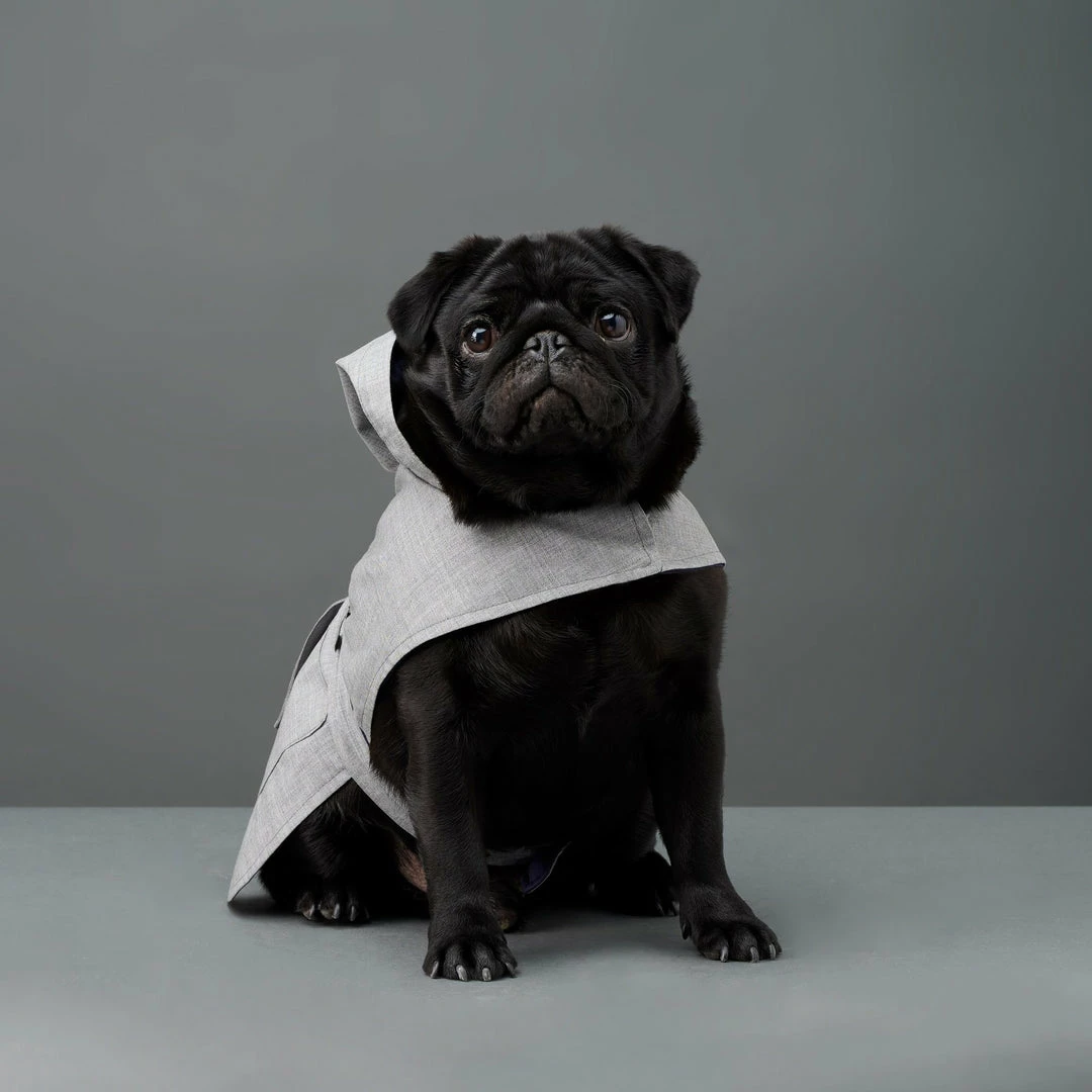 Budget 🌟 The Barkers Light Grey Bandit Raincoat 🎉 6 The Barkers Light Grey Bandit Raincoat