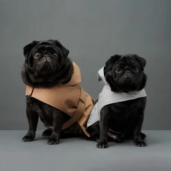 The Barkers Camel Bandit Raincoat Outerwear