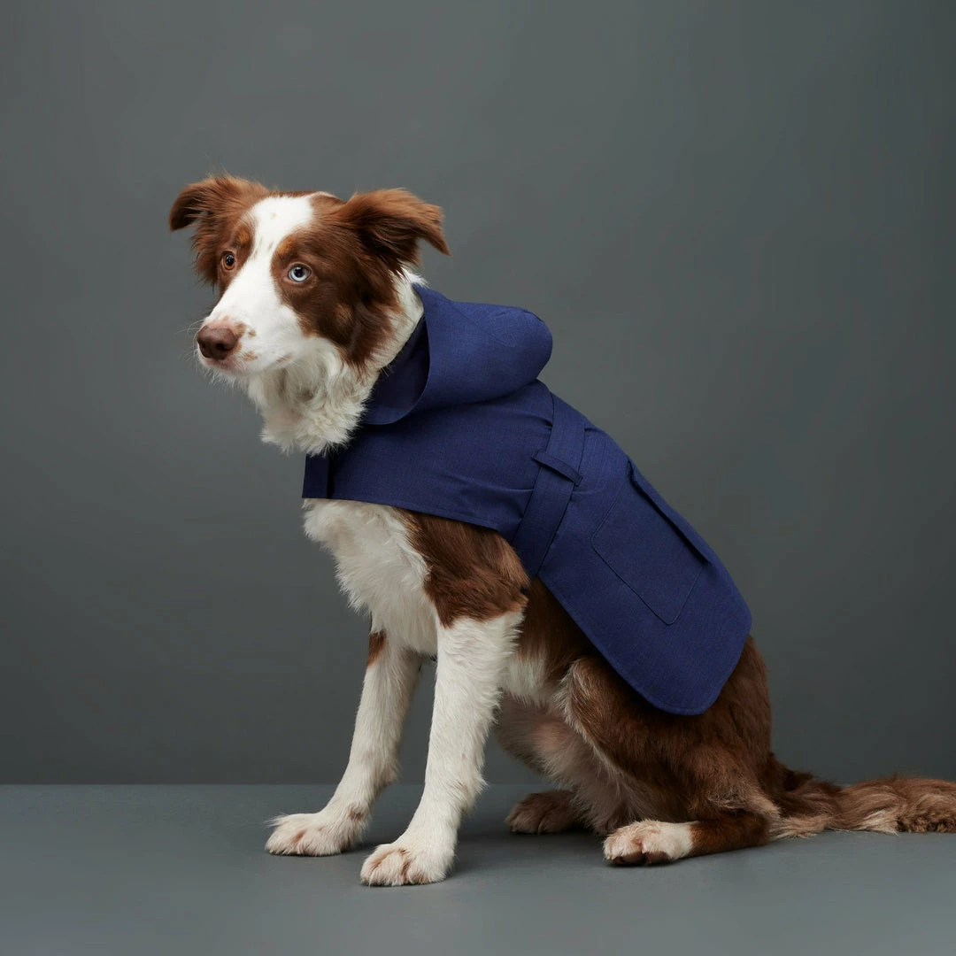 Hot Sale 🎉 The Barkers Naples Blue Bandit Raincoat Outerwear ✔️ 4 The Barkers Naples Blue Bandit Raincoat Outerwear