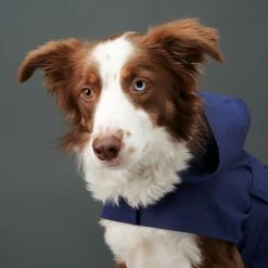 Hot Sale 🎉 The Barkers Naples Blue Bandit Raincoat Outerwear ✔️ 13 The Barkers Naples Blue Bandit Raincoat Outerwear