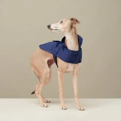 Hot Sale 🎉 The Barkers Naples Blue Bandit Raincoat Outerwear ✔️ 12 The Barkers Naples Blue Bandit Raincoat Outerwear