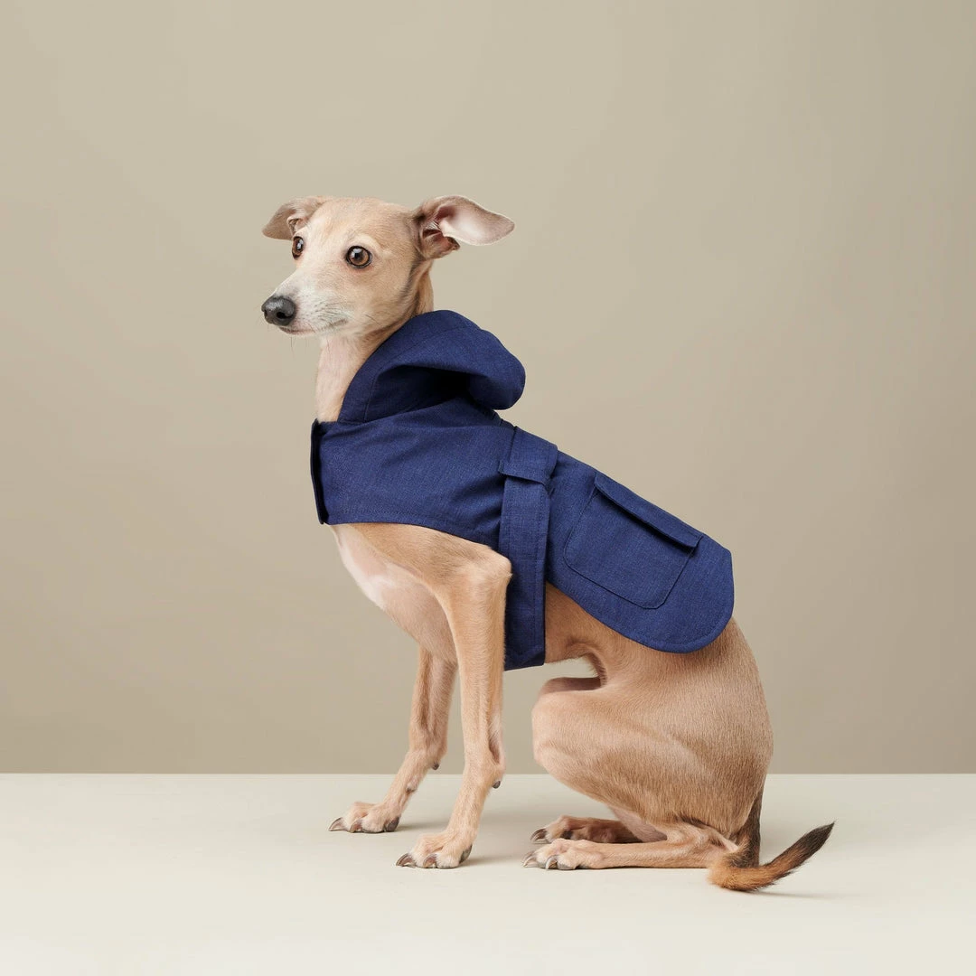 Hot Sale 🎉 The Barkers Naples Blue Bandit Raincoat Outerwear ✔️ 3 The Barkers Naples Blue Bandit Raincoat Outerwear