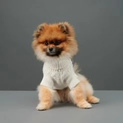 Best deal ✨ The Barkers Wear Off-White Fido Turtleneck 👍 11 The Barkers Wear Off-White Fido Turtleneck