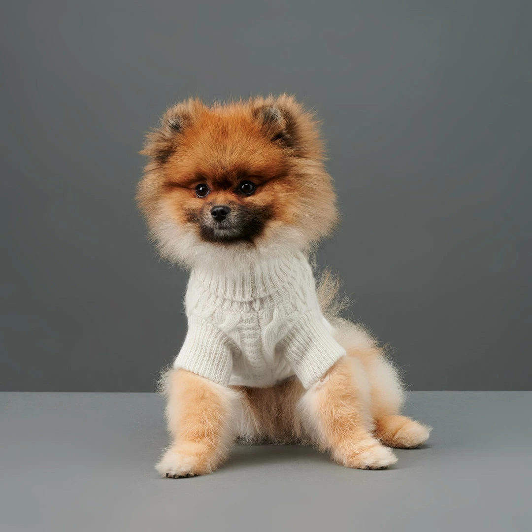 Best deal ✨ The Barkers Wear Off-White Fido Turtleneck 👍 5 The Barkers Wear Off-White Fido Turtleneck