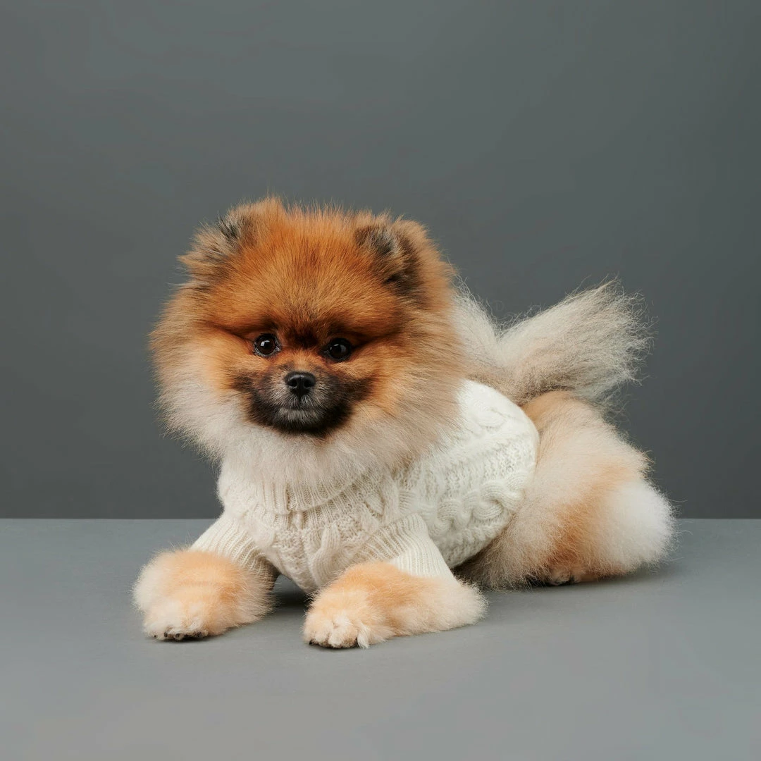 Best deal ✨ The Barkers Wear Off-White Fido Turtleneck 👍 6 The Barkers Wear Off-White Fido Turtleneck