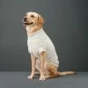 The Barkers Wear Off-White Fido Turtleneck