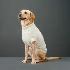 The Barkers Wear Off-White Fido Turtleneck