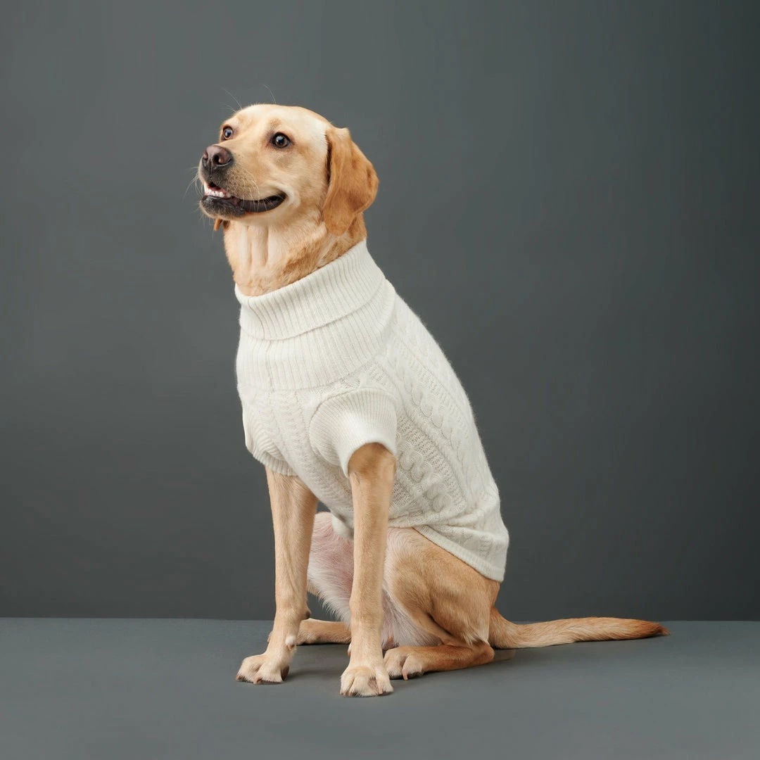 Best deal ✨ The Barkers Wear Off-White Fido Turtleneck 👍 3 The Barkers Wear Off-White Fido Turtleneck