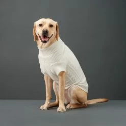 The Barkers Wear Off-White Fido Turtleneck