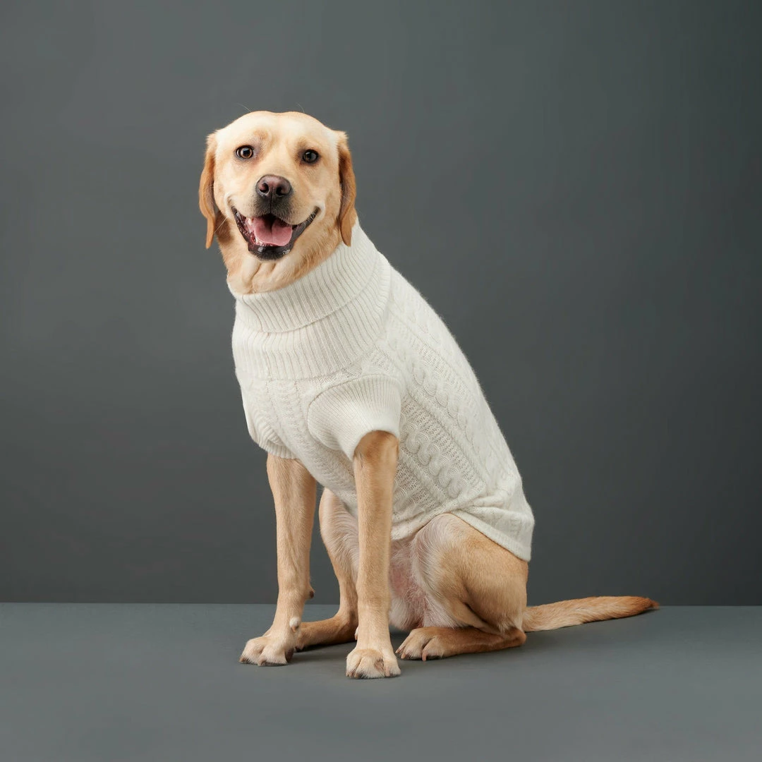 Best deal ✨ The Barkers Wear Off-White Fido Turtleneck 👍 4 The Barkers Wear Off-White Fido Turtleneck