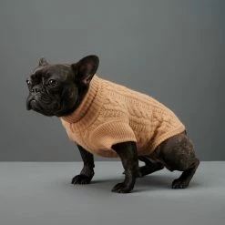 The Barkers Camel Fido Turtleneck