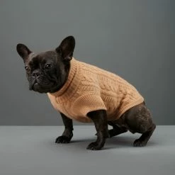 The Barkers Camel Fido Turtleneck