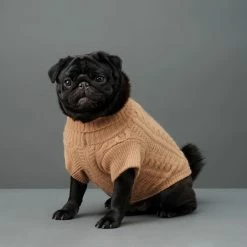 The Barkers Camel Fido Turtleneck