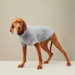 Flash Sale ๐ฅฐ The Barkers Light Grey Fido Turtleneck Wear ๐ 11 The Barkers Light Grey Fido Turtleneck Wear