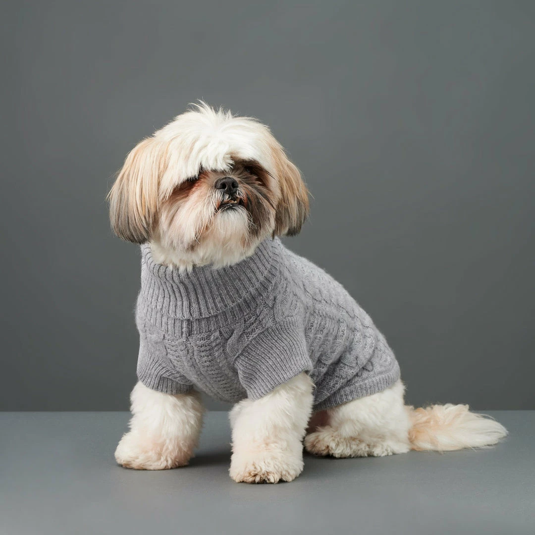 Flash Sale ๐ฅฐ The Barkers Light Grey Fido Turtleneck Wear ๐ 4 The Barkers Light Grey Fido Turtleneck Wear