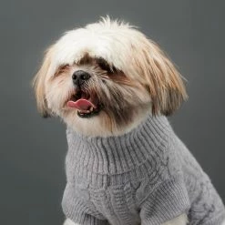 Flash Sale ๐ฅฐ The Barkers Light Grey Fido Turtleneck Wear ๐ 12 The Barkers Light Grey Fido Turtleneck Wear