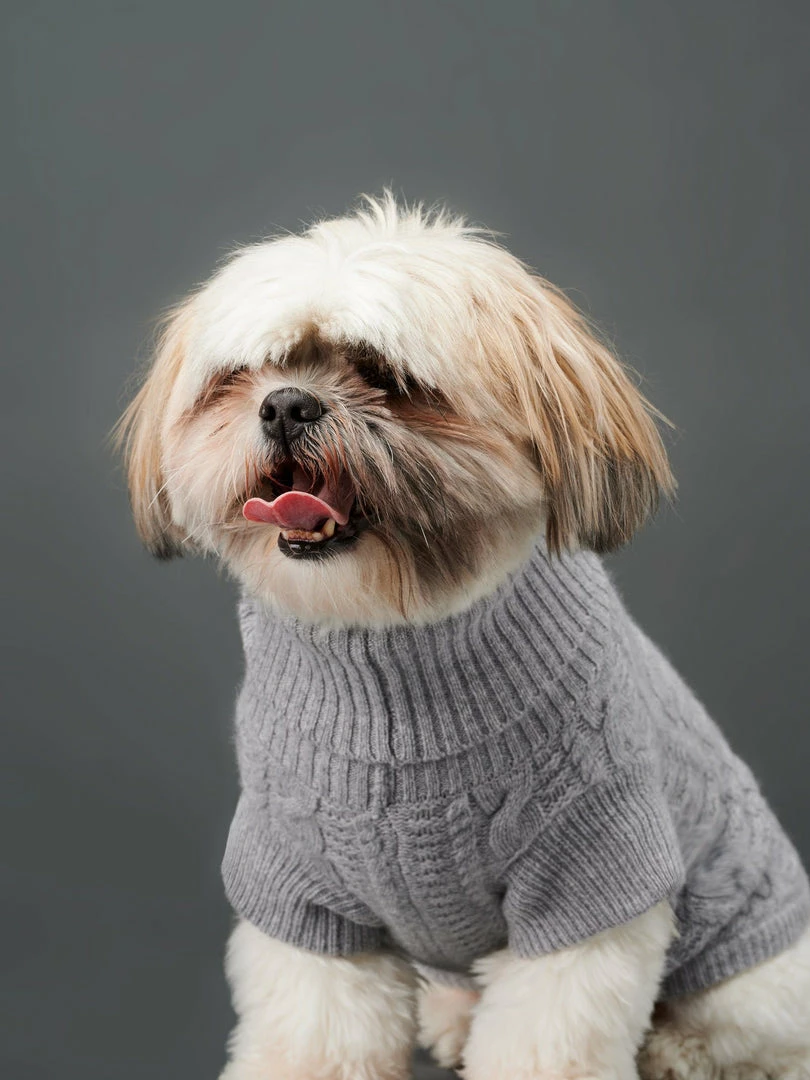 Flash Sale ๐ฅฐ The Barkers Light Grey Fido Turtleneck Wear ๐ 6 The Barkers Light Grey Fido Turtleneck Wear