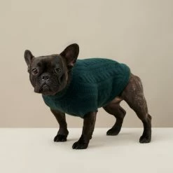 Outlet ๐ The Barkers Green Fido Turtleneck Wear โ 18 The Barkers Green Fido Turtleneck Wear