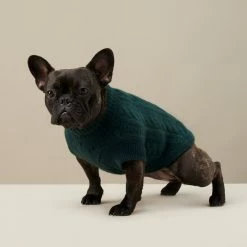 Outlet ๐ The Barkers Green Fido Turtleneck Wear โ 19 The Barkers Green Fido Turtleneck Wear