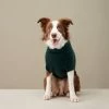 The Barkers Green Fido Turtleneck Wear