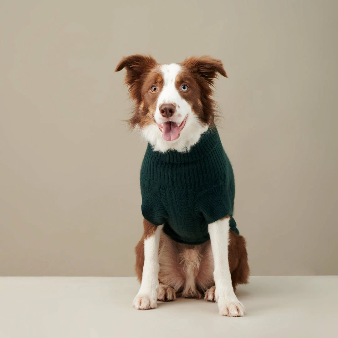 Outlet ๐ The Barkers Green Fido Turtleneck Wear โ 3 The Barkers Green Fido Turtleneck Wear