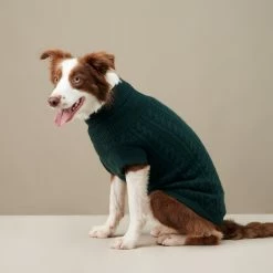 Outlet ๐ The Barkers Green Fido Turtleneck Wear โ 15 The Barkers Green Fido Turtleneck Wear