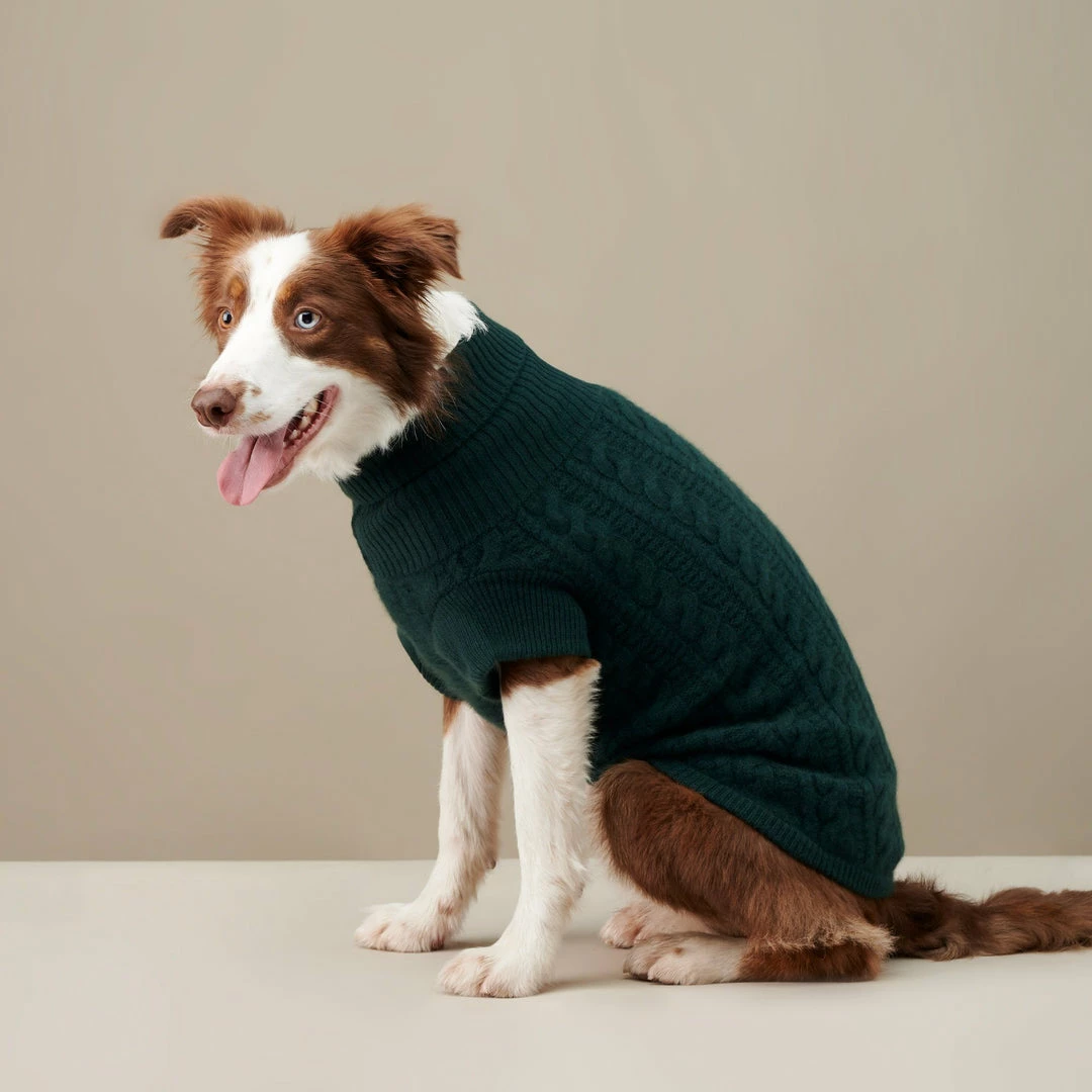 Outlet ๐ The Barkers Green Fido Turtleneck Wear โ 5 The Barkers Green Fido Turtleneck Wear