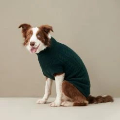 Outlet ๐ The Barkers Green Fido Turtleneck Wear โ 16 The Barkers Green Fido Turtleneck Wear