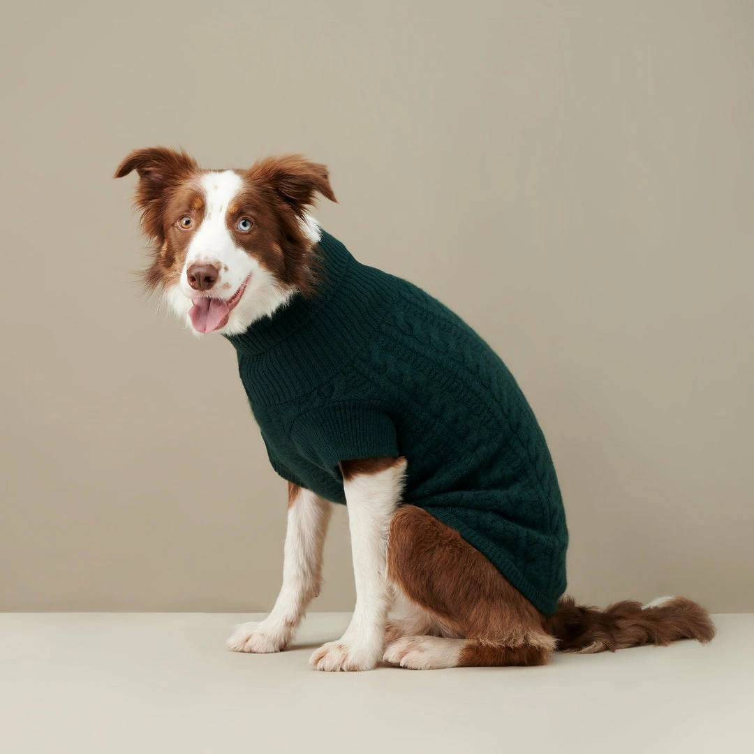 Outlet ๐ The Barkers Green Fido Turtleneck Wear โ 6 The Barkers Green Fido Turtleneck Wear