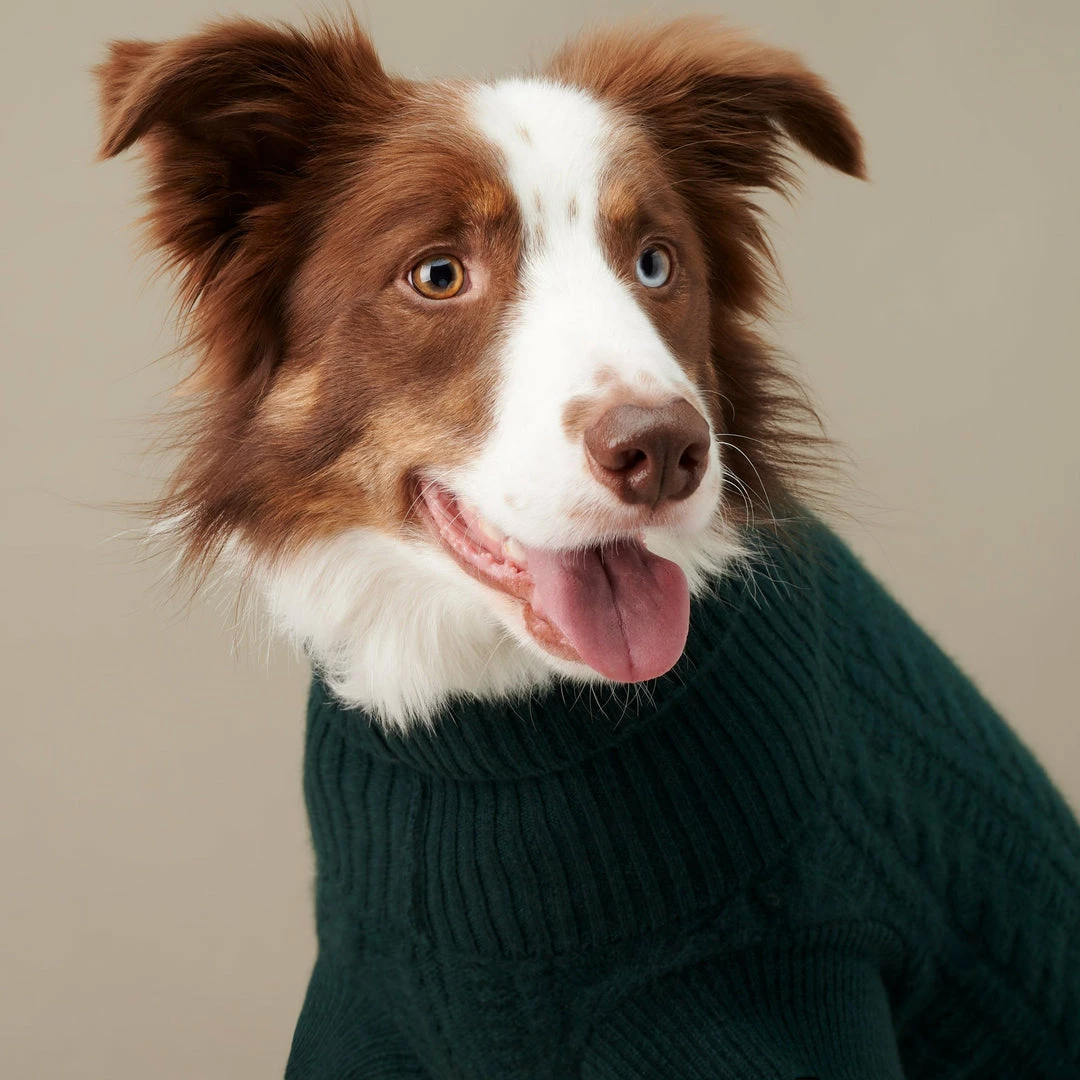 Outlet ๐ The Barkers Green Fido Turtleneck Wear โ 7 The Barkers Green Fido Turtleneck Wear