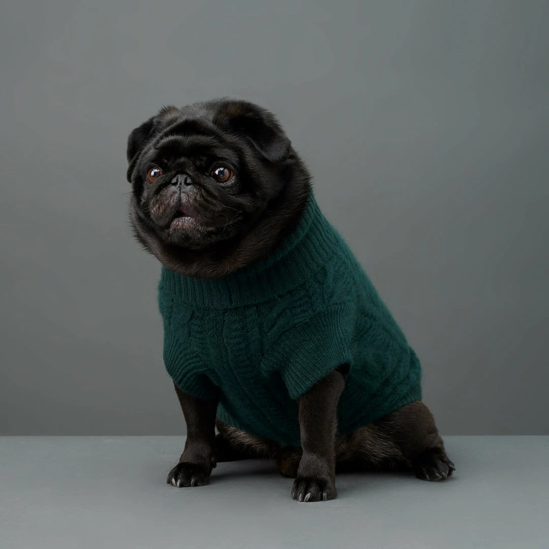 Outlet ๐ The Barkers Green Fido Turtleneck Wear โ 10 The Barkers Green Fido Turtleneck Wear